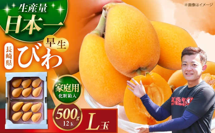 びわ ビワ 枇杷 果物 フルーツ 早生 わせ 果実 長崎県産 国産