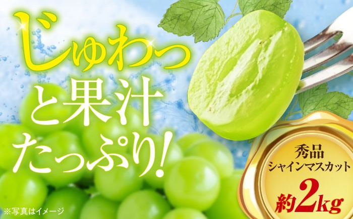 果物 フルーツ ブドウ ぶどう シャインマスカット しゃいんますかっと くだもの 葡萄 夏果物 マスカット 2kg 高級