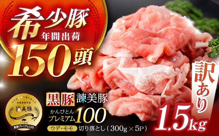 訳あり 訳あり商品 わけあり 黒豚 豚肉 ぶたにく 小分け 切り落とし 冷凍 パック 豚うで 豚ウデ 豚もも 豚モモ ブランド