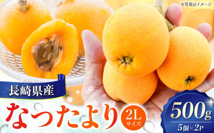  びわ ビワ 枇杷 果物 フルーツ なつたより ナツタヨリ ハウス 果実 長崎県産 国産