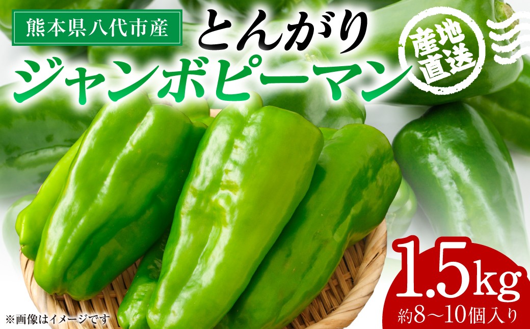 とんがりジャンボピーマン 1.5kg