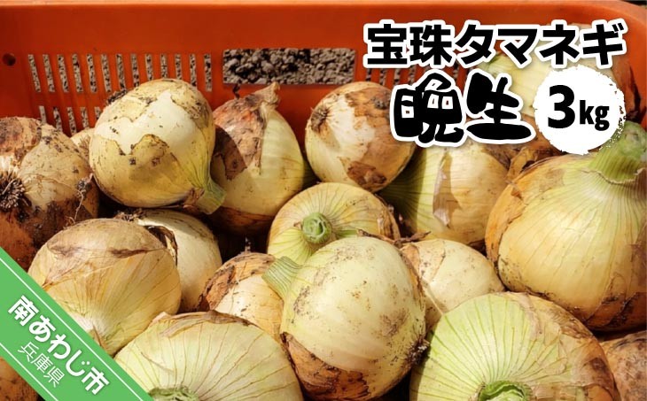 宝珠タマネギ　晩生　３キロ
