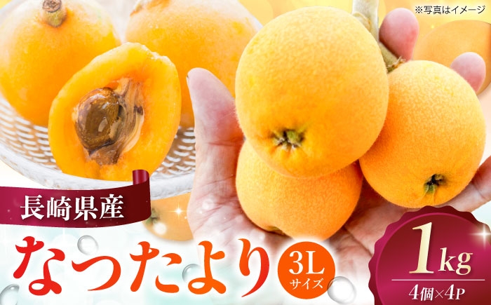  びわ ビワ 枇杷 果物 フルーツ なつたより ナツタヨリ ハウス 果実 長崎県産 国産