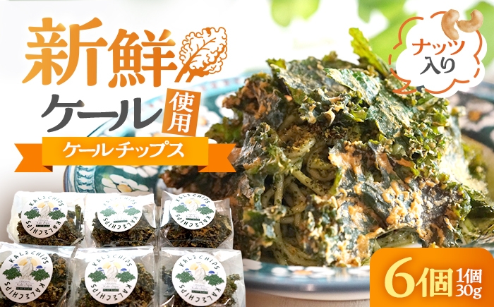 やみつきケールチップス