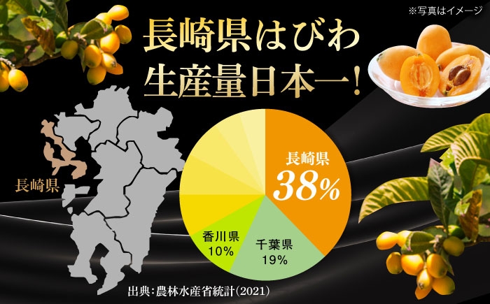  びわ ビワ 枇杷 果物 フルーツ なつたより ナツタヨリ ハウス 果実 長崎県産 国産