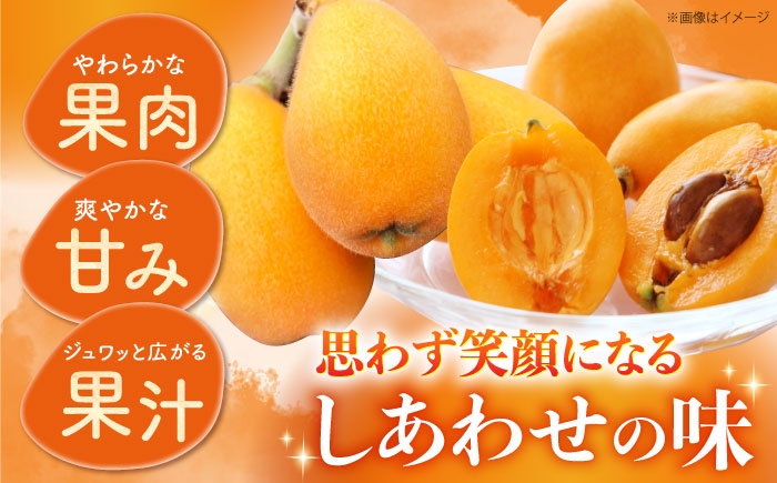 びわ ビワ 枇杷 果物 フルーツ 早生 わせ 果実 長崎県産 国産
