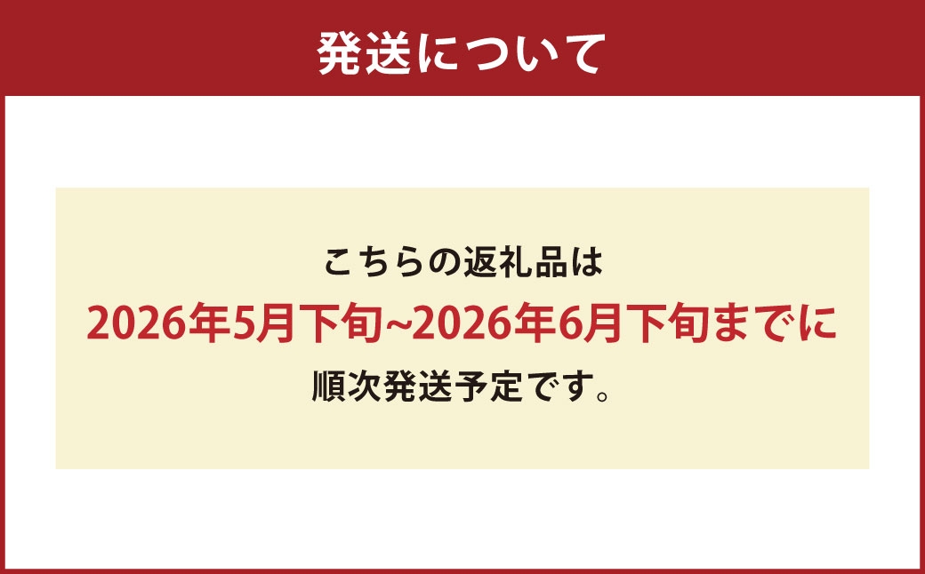 熊本県産 アールスメロン 2玉