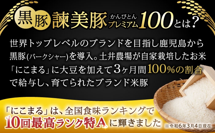 訳あり 訳あり商品 わけあり 黒豚 豚肉 ぶたにく 小分け 切り落とし 冷凍 パック 豚うで 豚ウデ 豚もも 豚モモ ブランド