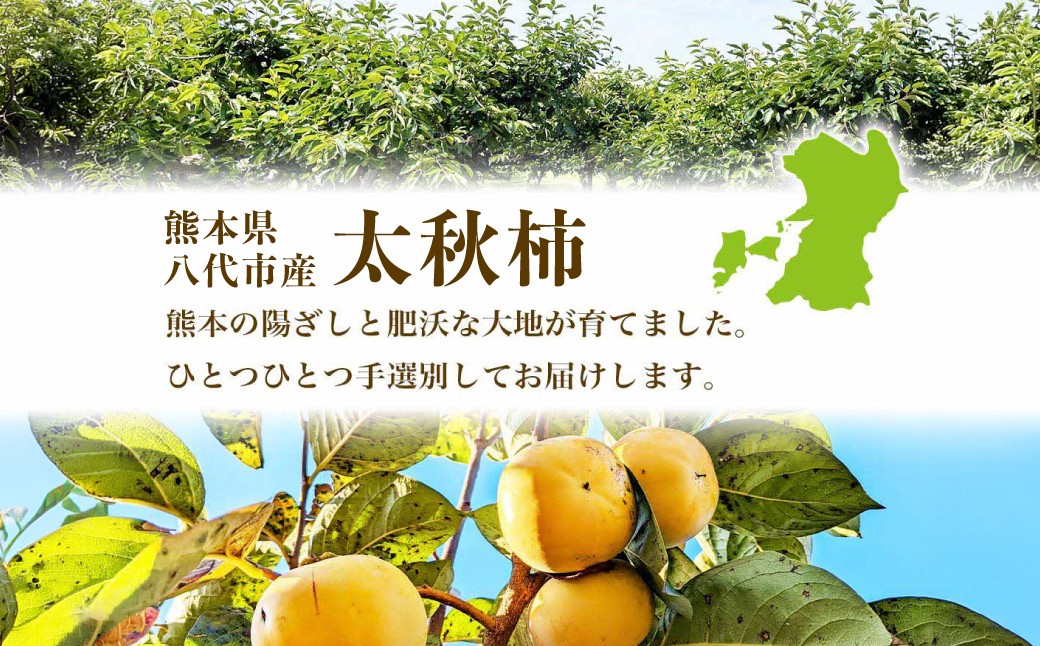 ひとつひとつ手選別してお届けします。