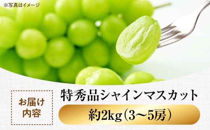 果物 フルーツ ブドウ ぶどう シャインマスカット しゃいんますかっと くだもの 葡萄 夏果物 マスカット 2kg 高級