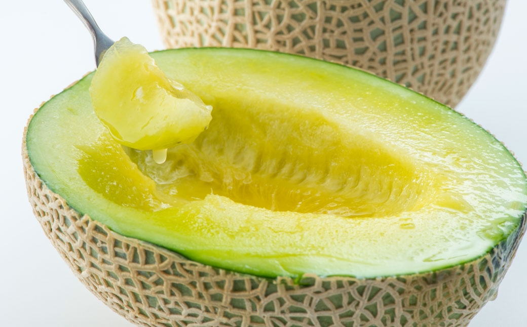 熊本県産 アールスメロン 2玉