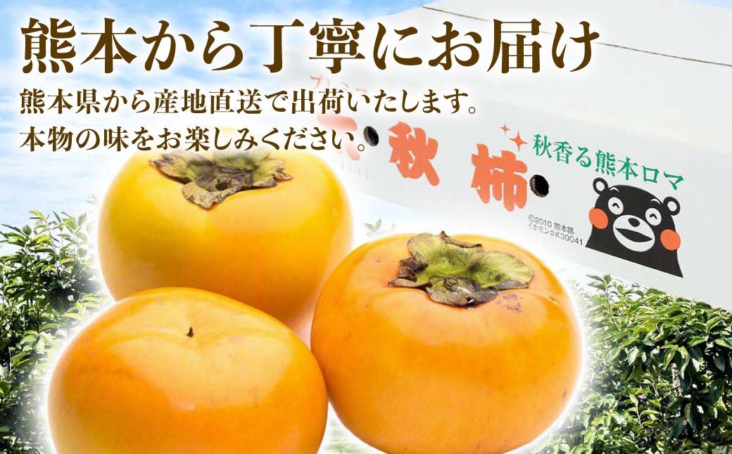 熊本県八代市から丁寧にお届けします。