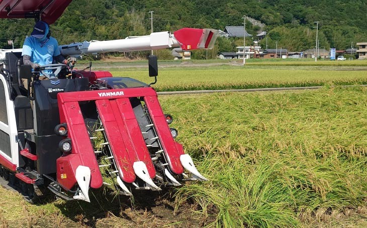 宝珠米コシヒカリ　玄米5キロ