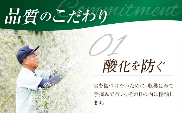 オリーブオイル エキストラバージン 油 国産 広島県産 贈答 ギフト オリーブオイル