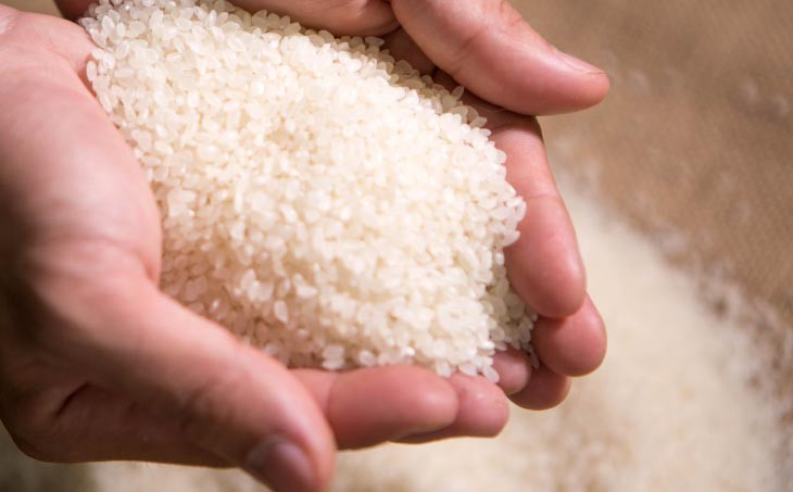 宝珠米コシヒカリ　精米10キロ