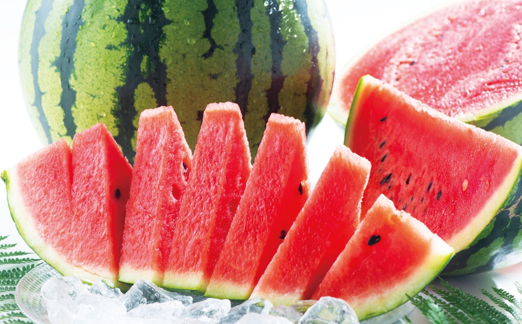 熊本県産 大玉春すいか 1玉