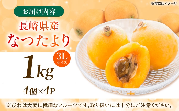  びわ ビワ 枇杷 果物 フルーツ なつたより ナツタヨリ ハウス 果実 長崎県産 国産