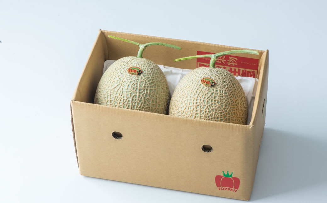 熊本県産 アールスメロン 2玉