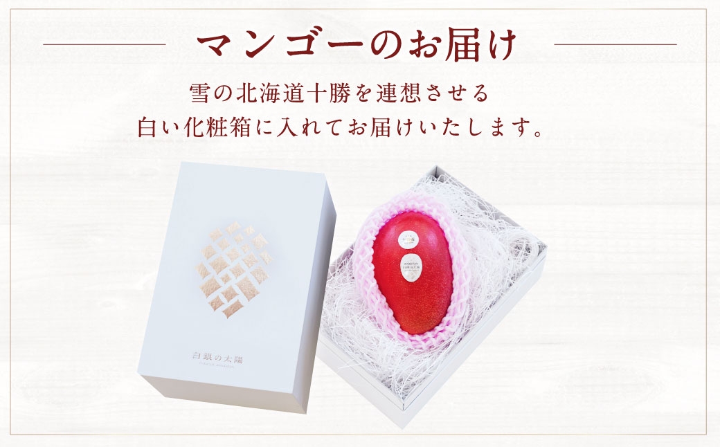 おとふけ産マンゴー「白銀の太陽プレミアム」3Lサイズ×1玉