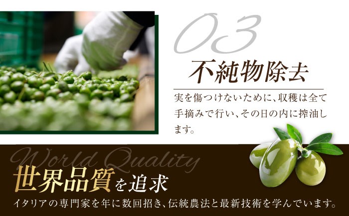 オリーブオイル エキストラバージン 油 国産 広島県産 贈答 ギフト オリーブオイル