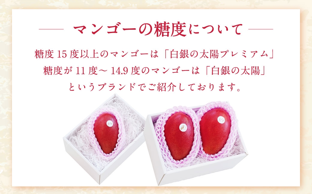 おとふけ産マンゴー 白銀の太陽プレミアム Mサイズ×2玉