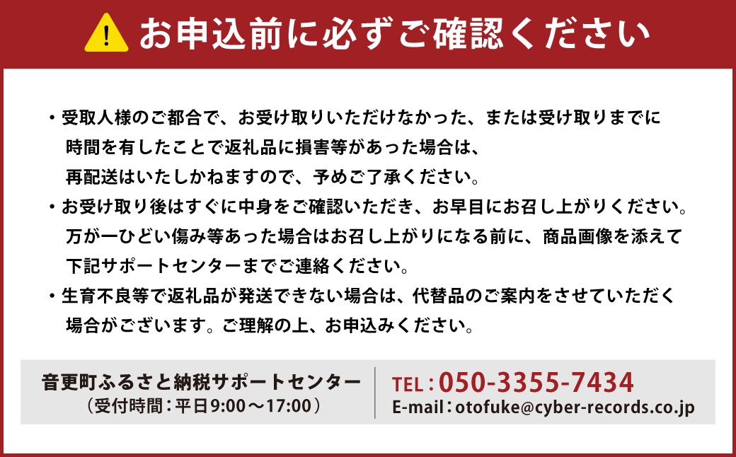 おとふけ産マンゴー「白銀の太陽」Mサイズ×1玉