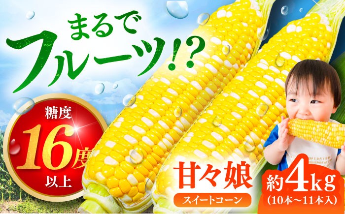 高糖度 かんかんむすめ 糖度 コーンスープ 甘さ コーン おやつ BBQ バター焼き 野菜 とうもろこし 糖度  菊陽町