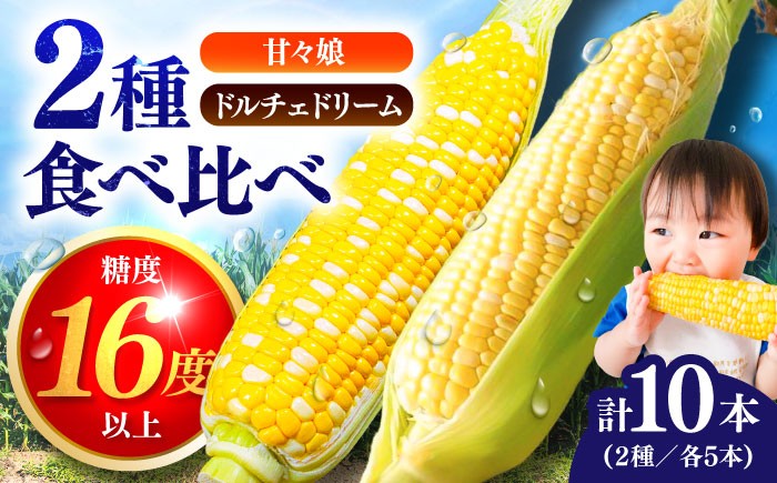  熊本産 野菜 朝採れ やさい 朝採り とうもろこし スイートコーン ドルチェドリーム トウモロコシ 甘い 新鮮 産地直送