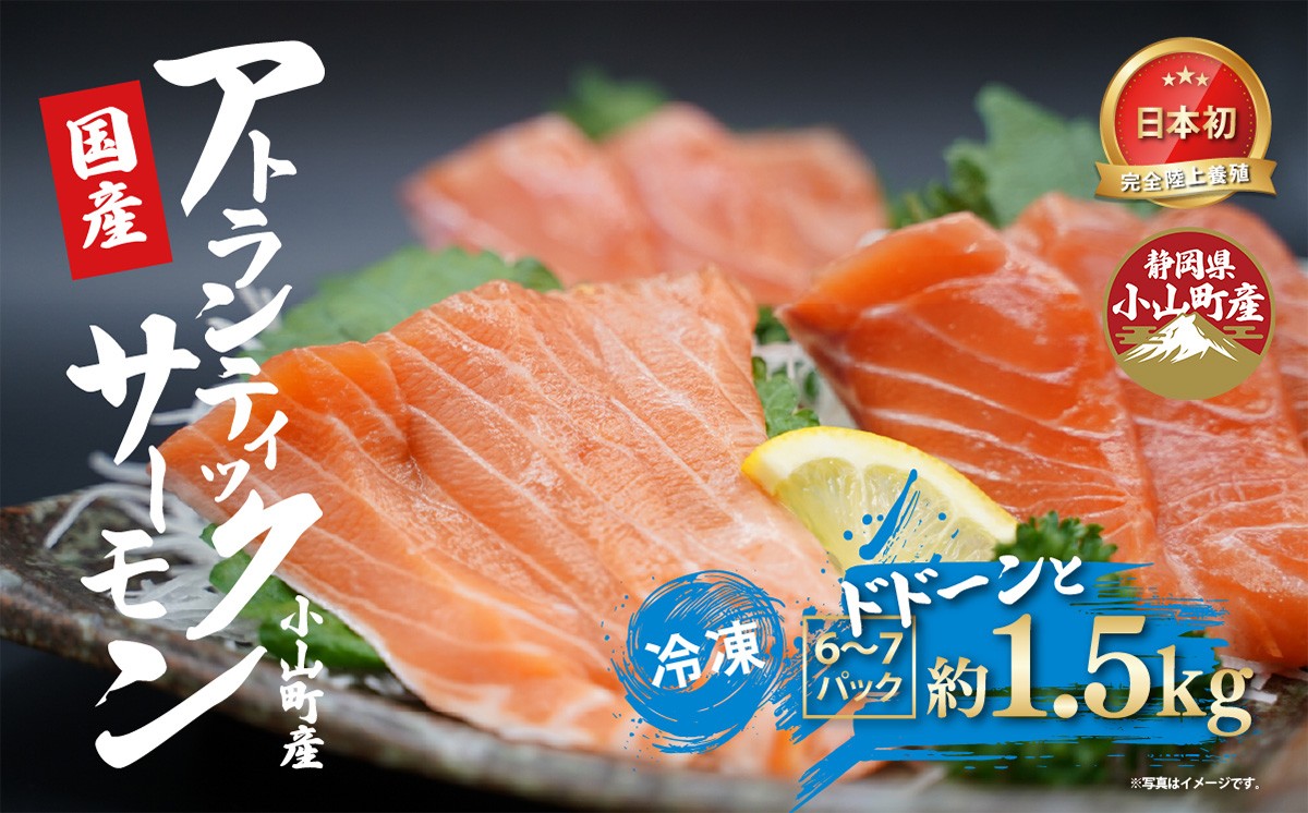 国産 アトランティックサーモン