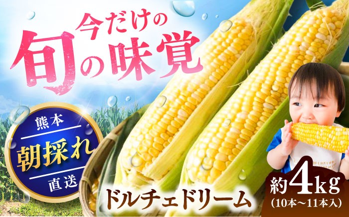 高糖度 どるちぇどりーむ 糖度 コーンスープ 甘さ コーン おやつ BBQ バター焼き 野菜 とうもろこし  糖度 菊陽町