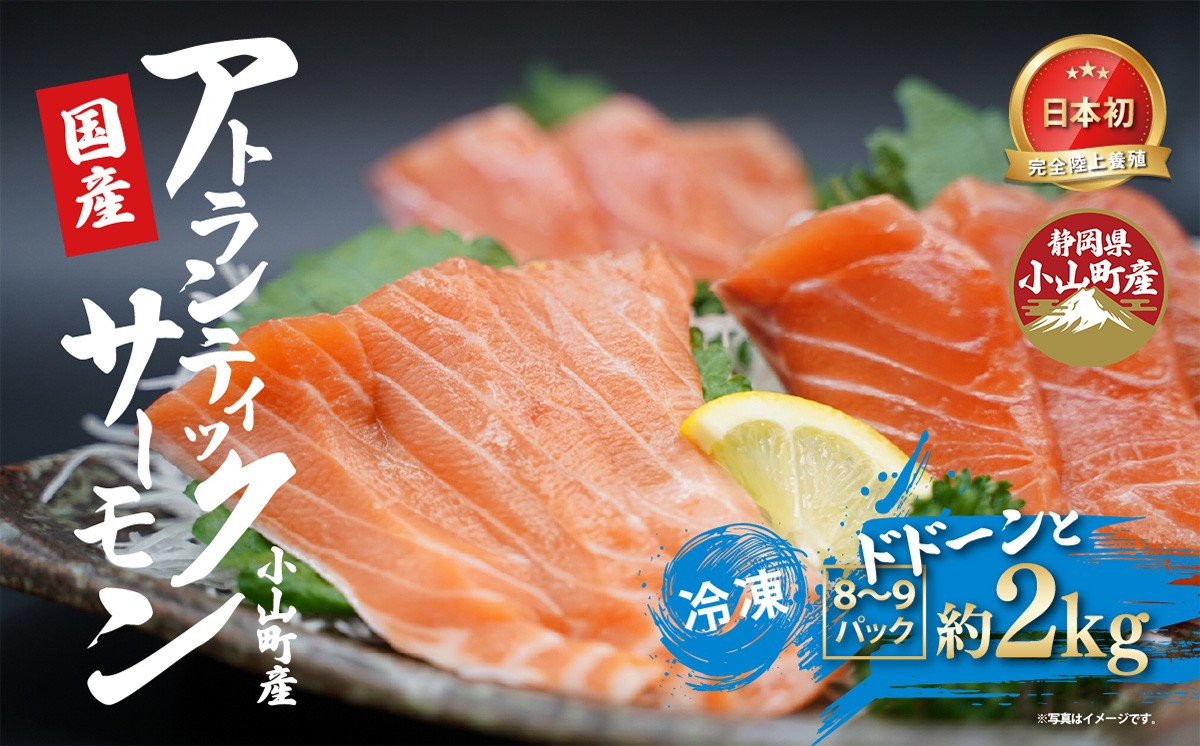 国産 アトランティックサーモン