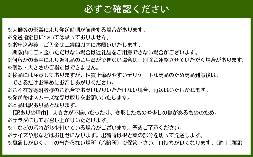 訳あり 佐賀県太良町産牟田農園の春の新玉ねぎ5kg サイズおまかせ