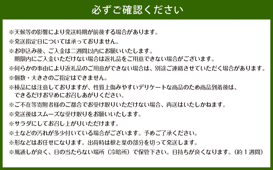 佐賀県太良町産 ～ 牟田農園の春の新玉ねぎ 5kg （ S ）