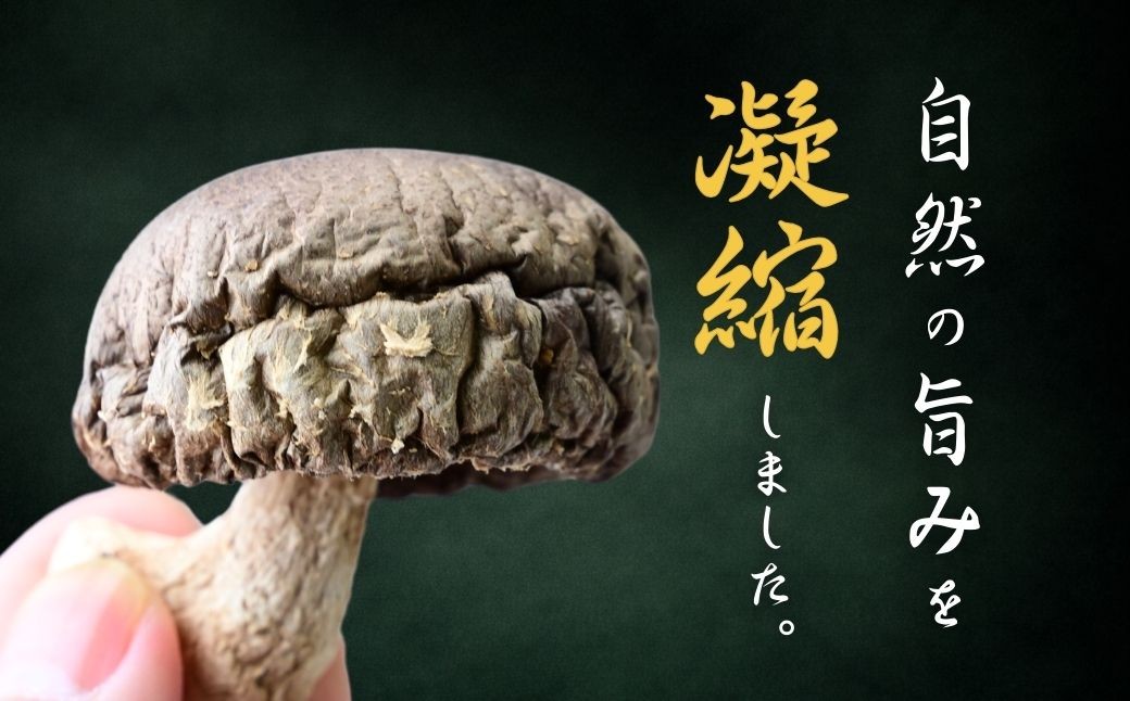 しいたけ シイタケ 乾しいたけ 干ししいたけ 干し椎茸 干しシイタケ 300g 龍ノ傘 国産 乾燥椎茸