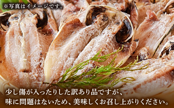 アジ 鯵 ひもの 干物 魚 海鮮 魚介 和食