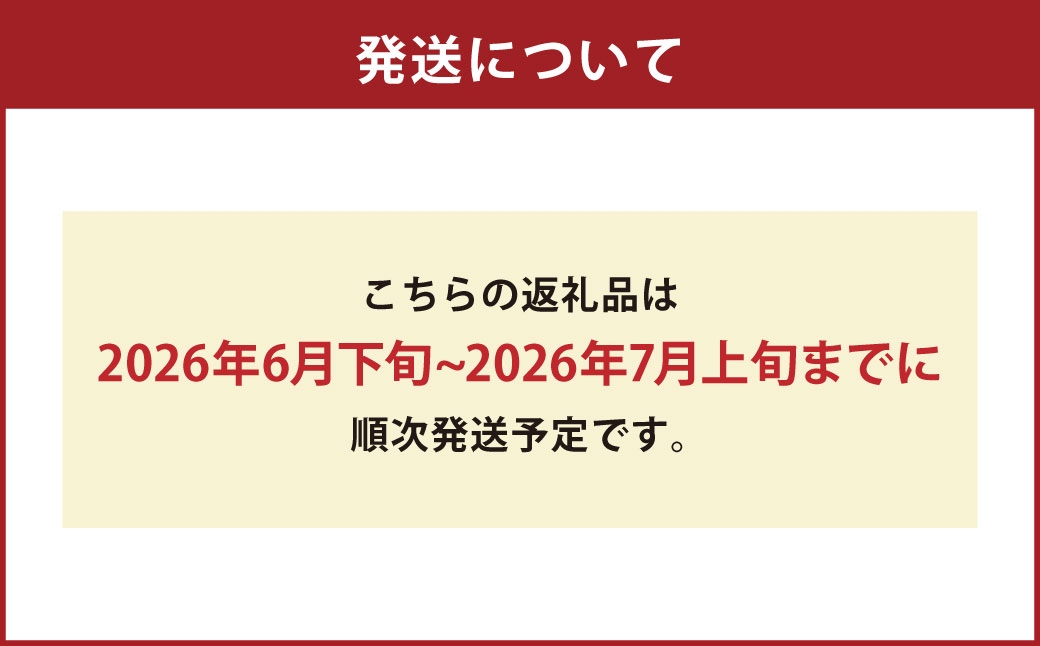 隠れた赤肉メロンの名品 肦後ロッソメロン