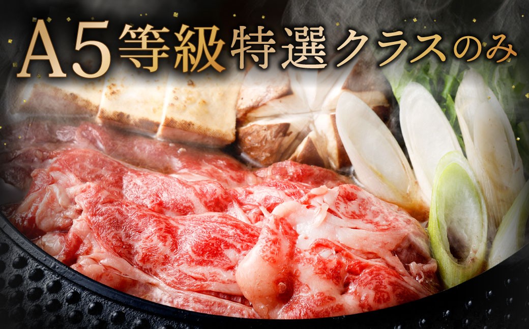 復刻！A5 九州産 黒毛和牛 肩ロース スライス 約600g（300g×2パック）