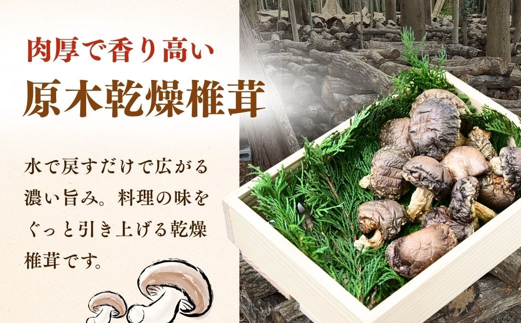 しいたけ シイタケ 乾しいたけ 干ししいたけ 干し椎茸 干しシイタケ 100g 龍ノ傘 国産 乾燥椎茸