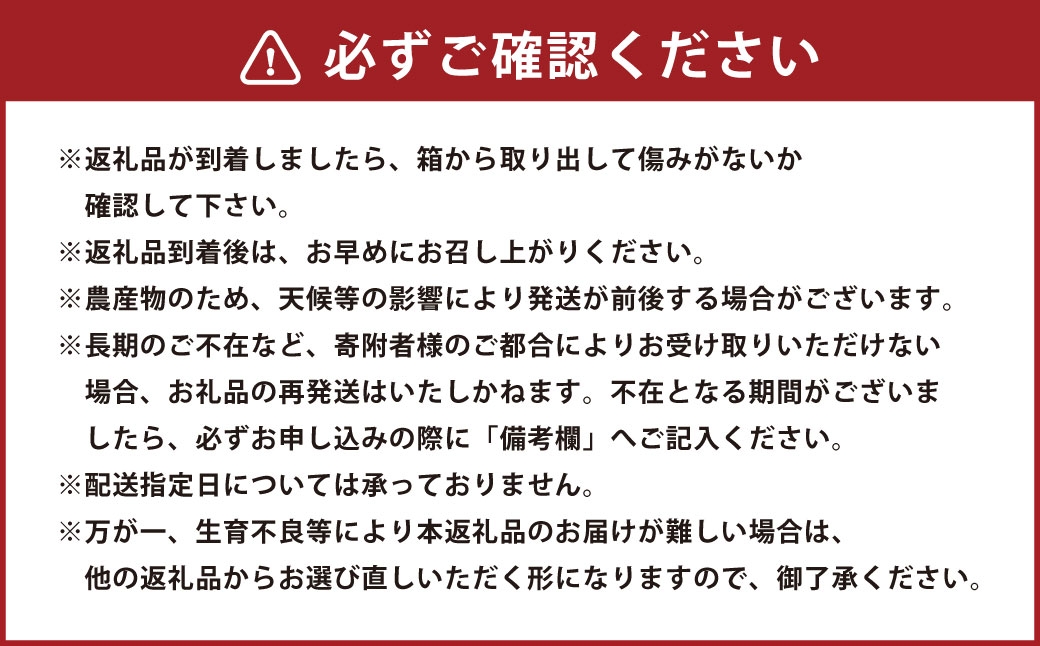 熊本県産春スイカ 1玉入り6kg以上