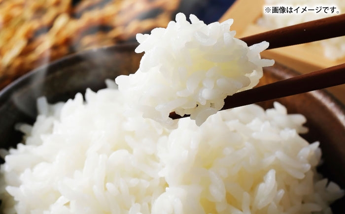 壱岐産米と壱岐牛カレーセット（辛口/中辛/甘口）  白米 ごはん ご飯 カレー レトルト 食品 レンジ 仕送り 肉 牛肉 壱岐牛