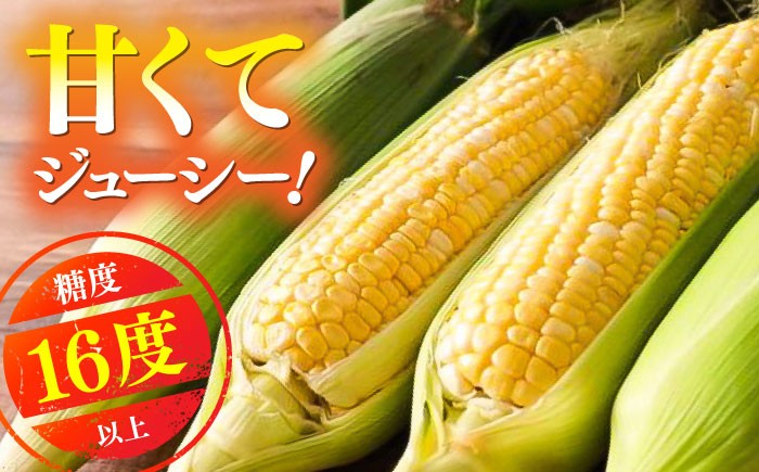 高糖度 どるちぇどりーむ 糖度 コーンスープ 甘さ コーン おやつ BBQ バター焼き 野菜 とうもろこし  糖度 菊陽町