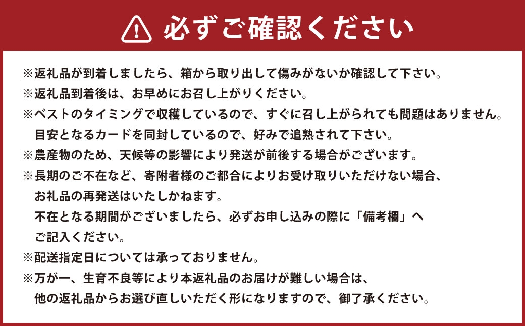 肥後グリーンメロン