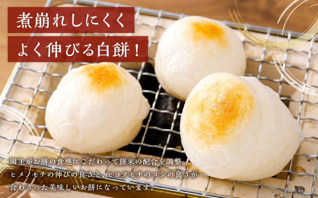 杵つき丸白餅 50g×10個入り 2袋 岡山県美咲町産 【6月-9月発送不可】