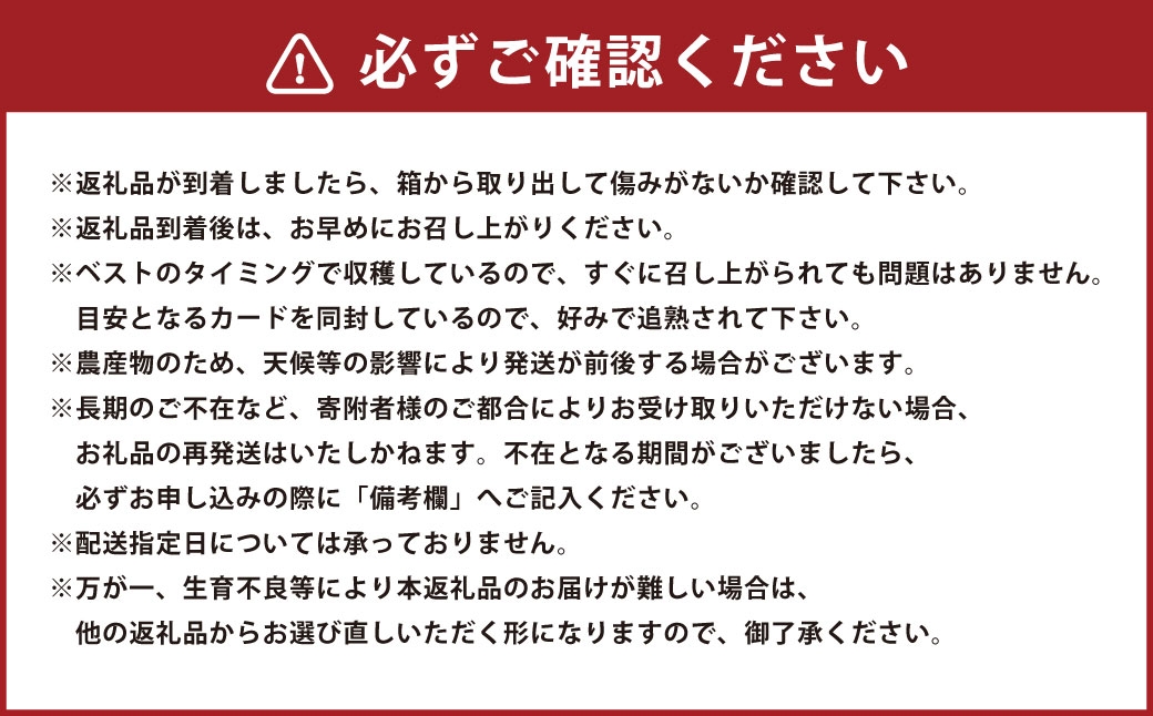 隠れた赤肉メロンの名品 肦後ロッソメロン