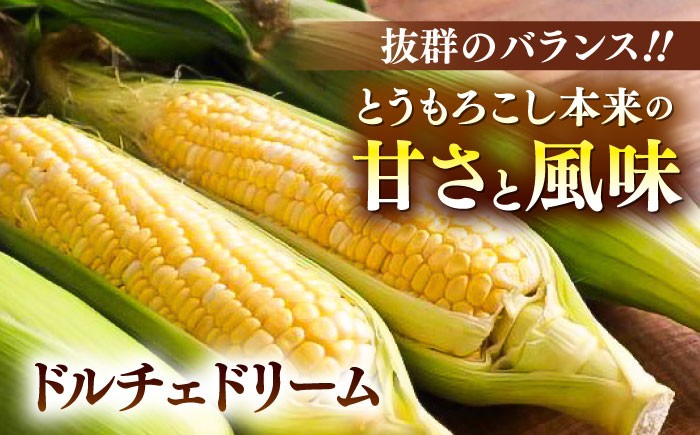  熊本産 野菜 朝採れ やさい 朝採り とうもろこし スイートコーン ドルチェドリーム トウモロコシ 甘い 新鮮 産地直送