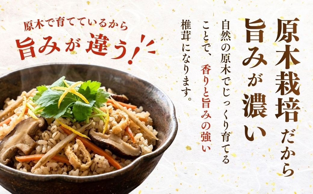しいたけ シイタケ 乾しいたけ 干ししいたけ 干し椎茸 干しシイタケ 100g 龍ノ傘 国産 乾燥椎茸
