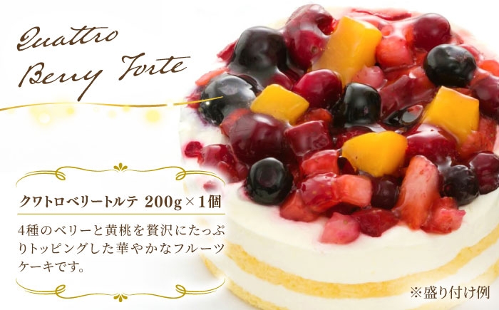 お祝い バースデー クリスマス 誕生日ケーキ 冷凍ケーキ 詰め合わせ