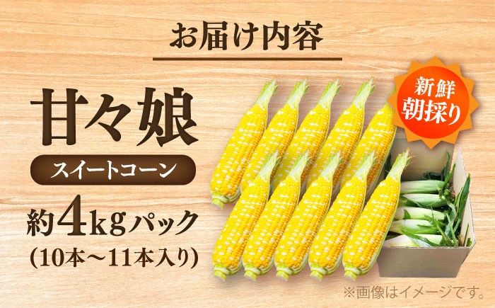 高糖度 かんかんむすめ 糖度 コーンスープ 甘さ コーン おやつ BBQ バター焼き 野菜 とうもろこし 糖度  菊陽町
