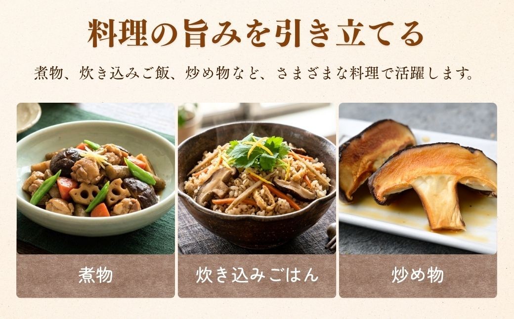 しいたけ シイタケ 乾しいたけ 干ししいたけ 干し椎茸 干しシイタケ 100g 龍ノ傘 国産 乾燥椎茸