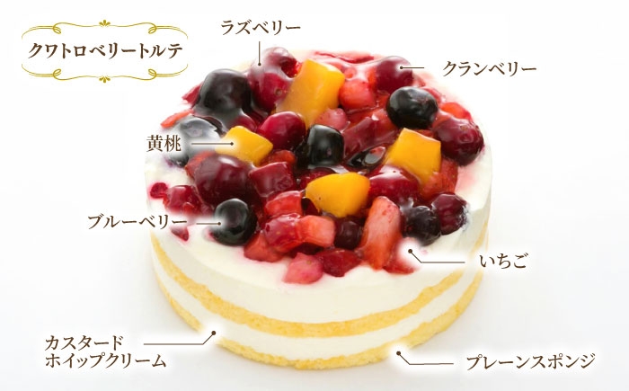 お祝い バースデー クリスマス 誕生日ケーキ 冷凍ケーキ 詰め合わせ